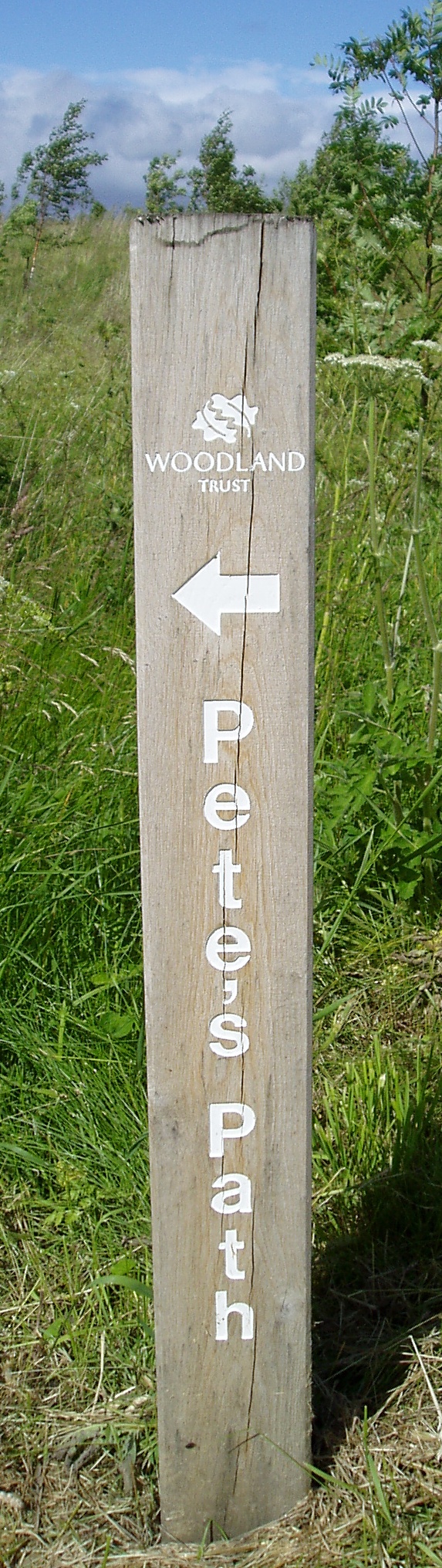 The Waymark